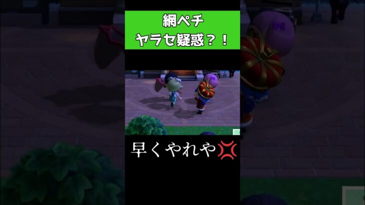 【あつ森】網ぺチにやらせ疑惑！？無関係の人が巻き込まれたというおはなし🏝️ #ゲーム実況 #あつまれどうぶつの森 #あつ森ライブ