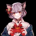 あつ森 | いい朝だね～こんな日はラジオ体操から始めよう【朝活配信】【あく】