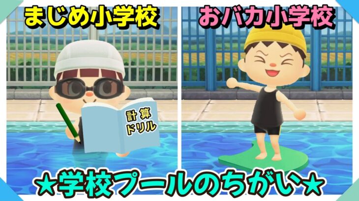 【あつ森アニメ】まじめ小学校とおバカ小学校＊学校プールのちがい【あつまれどうぶつの森】