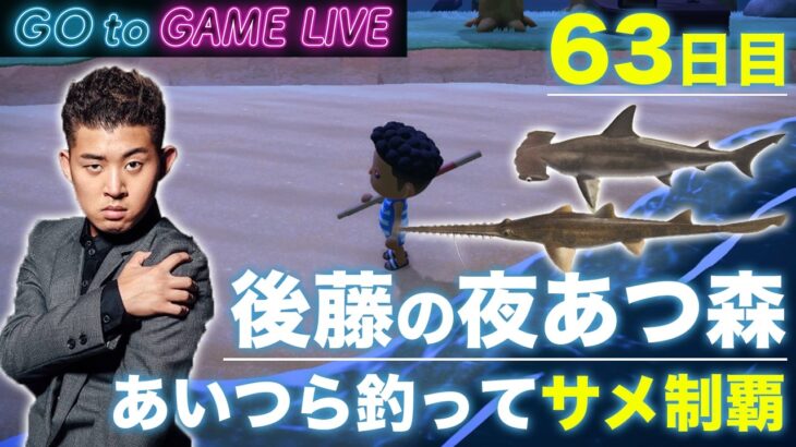 【後藤の夜あつ森】ノコギリとシュモクを釣りたいです