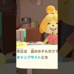 【あつ森】来た！！キャンプサイトガチャ！！来たのは…