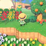 🏕️気になる初キャンパーは?!👀 #あつ森