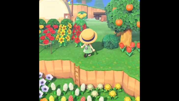 🏕️気になる初キャンパーは?!👀 #あつ森
