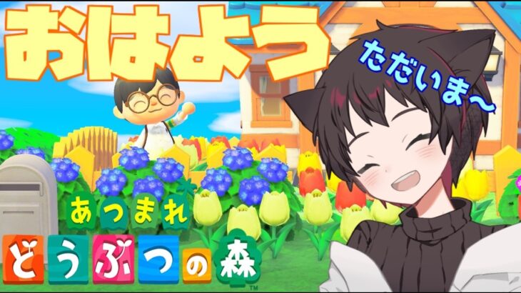 【あつ森】この島は相変わらず平和で最高だな