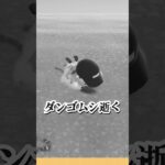 【#あつ森 】ケチってお祓いを断ったら儚い命が…🐞#あつまれどうぶつの森 #どうぶつの森