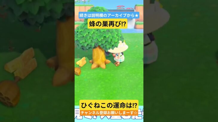 二度目の蜂の巣パニックの陥る男 #あつ森 #あつまれどうぶつの森 #ひぐねこのゲーム盤