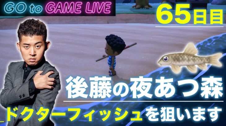 【後藤の夜あつ森】ドクターフィッシュを求めて