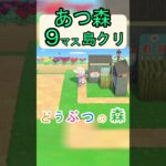 【あつ森９マス島クリ】簡単にネコがいる空き地が作れる島クリ！【あつまれどうぶつの森】#あつ森 #あつまれどうぶつの森