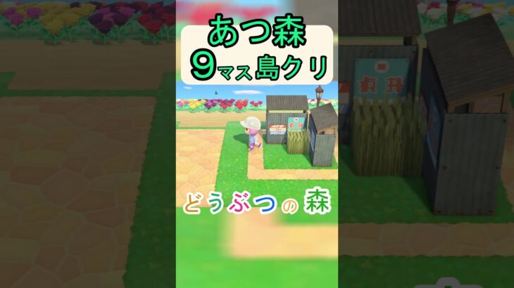 【あつ森９マス島クリ】簡単にネコがいる空き地が作れる島クリ！【あつまれどうぶつの森】#あつ森 #あつまれどうぶつの森
