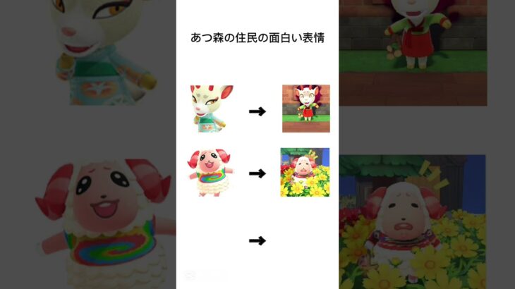 #あつ森 住民の面白い表情