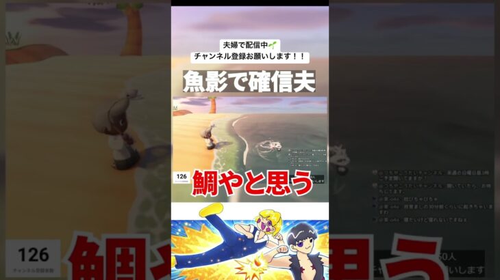 【あつ森】元あつ森嫌いの夫、釣りにハマる
