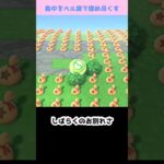 【あつ森】≪島中を💰≫　ついに島中が💰に