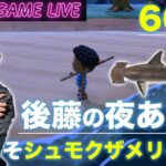 【後藤の夜あつ森】今日こそシュモクザメを釣ります