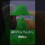 【あつまれどうぶつの森】でんでん虫🐌 #あつ森