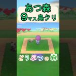 【あつ森９マス島クリ】簡単にバレーができる場所が作れる島クリ！【あつまれどうぶつの森】#あつ森 #あつまれどうぶつの森