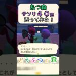 【あつ森】ポケットのサソリをすべて売ると衝撃の値段になった！【あつまれどうぶつの森】#あつ森 #あつまれどうぶつの森