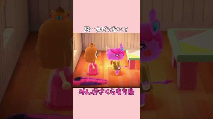 【あつ森】カビた服（？）を着ていたおさいに、可愛いお洋服をプレゼント♡