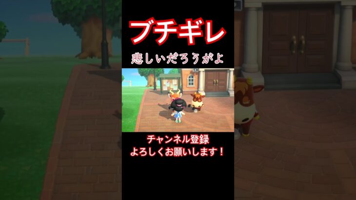 【あつ森】筋トレの文化が広まっていて…受け取れる人いなくて残念で。#あつまれどうぶつの森 #あつ森 #どうぶつの森 #実況プレイ