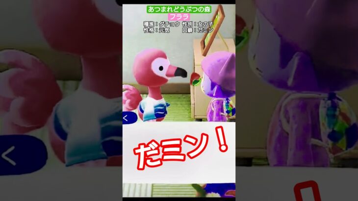 【#あつ森 】フララ【#あつまれどうぶつの森 】