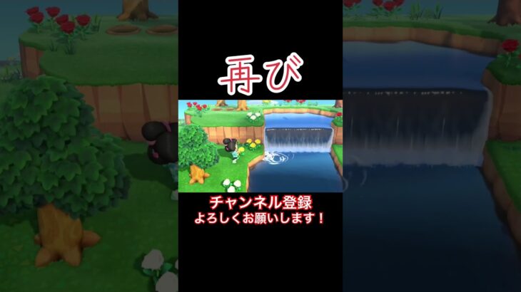 黄金の魚。再び。#あつまれどうぶつの森 #あつ森 #どうぶつの森 #実況プレイ #ゲーム実況