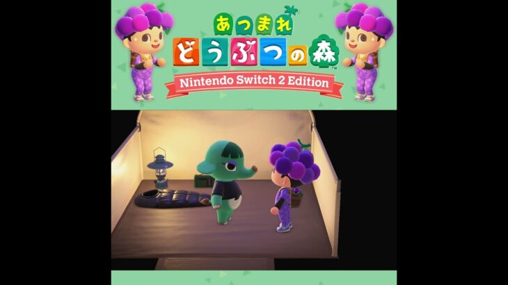 【あつ森】サラダバー