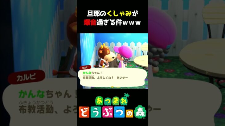 【あつ森】旦那のくしゃみが爆音過ぎる件ｗｗｗ