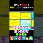 【あつ森】島民代表の誕生日は?!ｗｗｗ