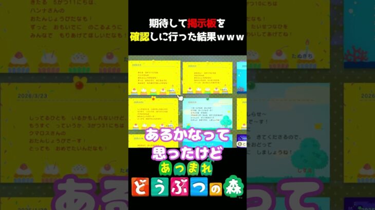 【あつ森】島民代表の誕生日は?!ｗｗｗ