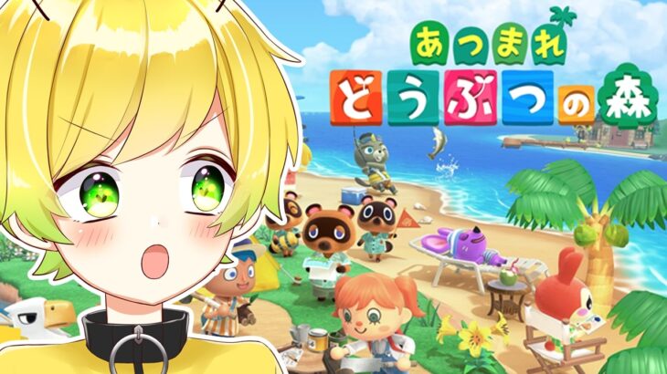 久しぶりにあつ森やろうぜｗｗｗｗｗｗｗｗｗ