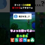 【あつ森】待ってｗｗｗまだ準備してないｗｗｗ