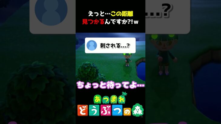 【あつ森】待ってｗｗｗまだ準備してないｗｗｗ