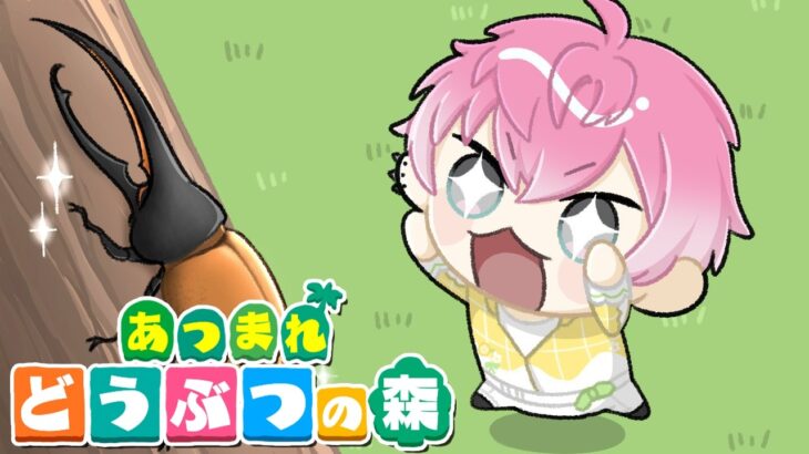 【 あつ森 / 雑談 】またーり話しながら釣りとかする？【 皇れお  / にじさんじ 】