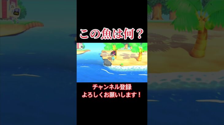 この魚はいったいなんだろ？#あつまれどうぶつの森 #あつ森 #どうぶつの森 #実況プレイ