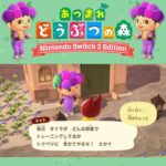 【あつ森】だが断る