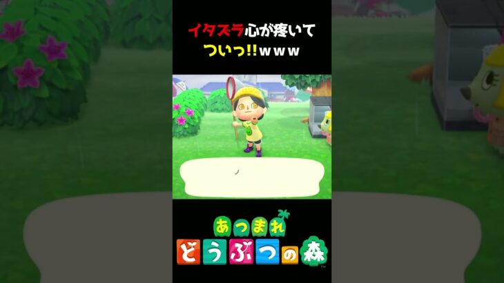【あつ森】私のイタズラ心がついｗｗｗ