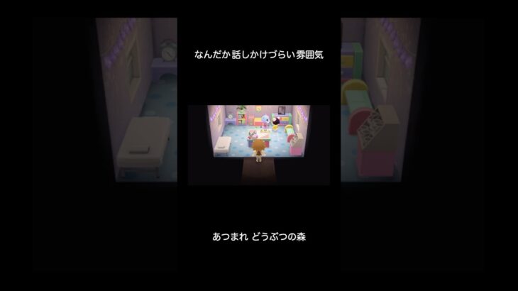 【あつ森】なんだか話しかけづらい雰囲気