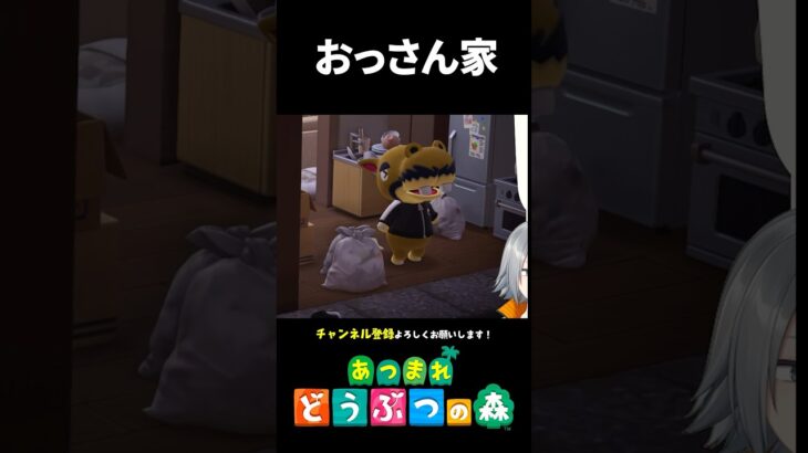 【あつ森】おっさんの一人暮らしを再現した別荘がリアルすぎる