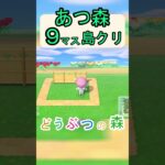 【あつ森９マス島クリ】９マスで趣のあるお庭が作れる島クリ！【あつまれどうぶつの森】#あつ森 #あつまれどうぶつの森