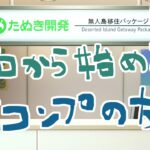 【初心者雑談配信】ゼロから始める全コンプの旅【あつ森】