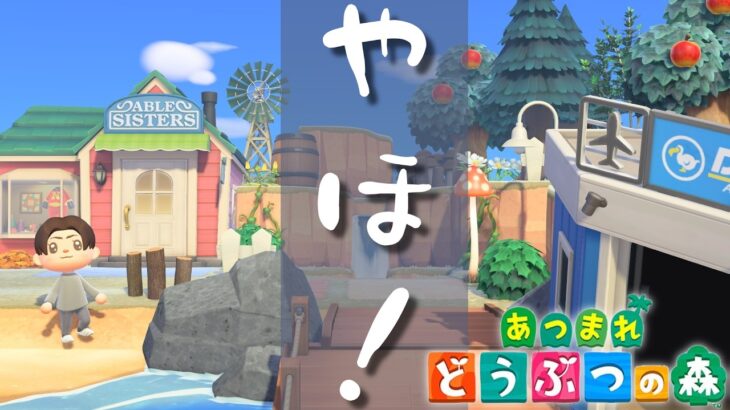 🔴【生放送】おつおつおっつ～！今日も今日とてお喋りだ！すべて自給自足の「あつまれどうぶつの森」【あつ森雑談配信】