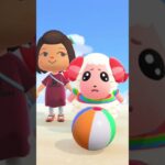 真剣にボールで遊ぶ可愛い ちゃちゃまる #あつ森 #あつまれどうぶつの森