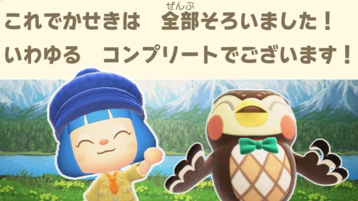 【博物館コンプリート企画】ゼロから化石を集めると何日で全部そろうかな？【あつ森ゆっくり実況】