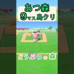 【あつ森９マス島クリ】簡単に料理をしてるとネコが近づいてくるような島クリ！【あつまれどうぶつの森】#あつ森 #あつまれどうぶつの森