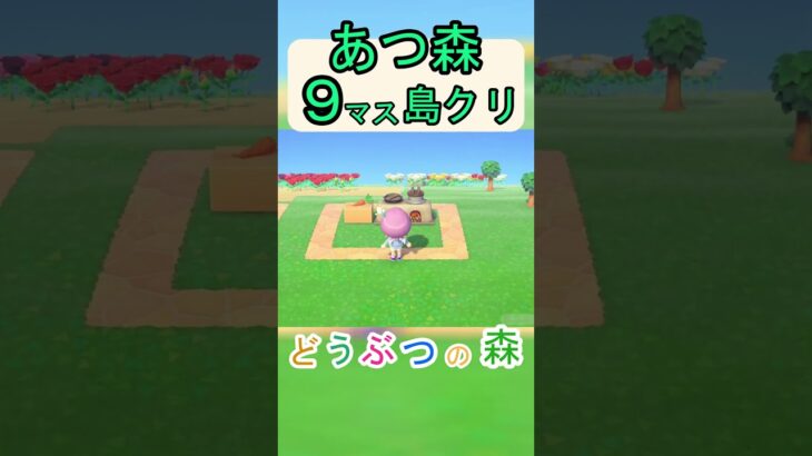 【あつ森９マス島クリ】簡単に料理をしてるとネコが近づいてくるような島クリ！【あつまれどうぶつの森】#あつ森 #あつまれどうぶつの森