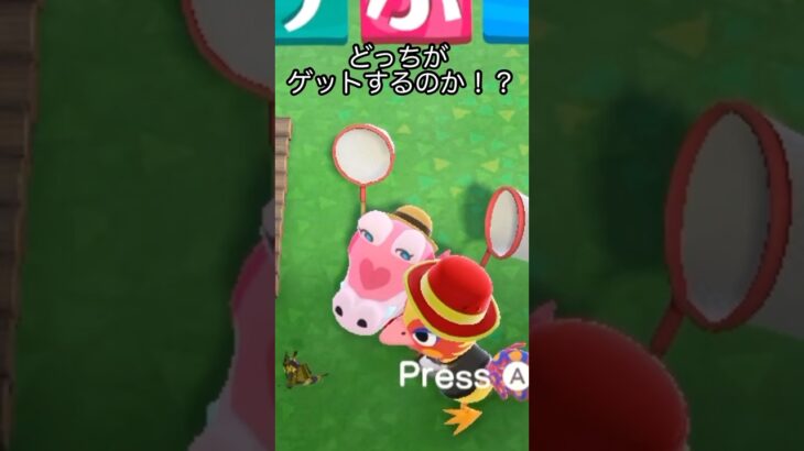 【あつ森】虫取り大会で謎のバトル！！笑