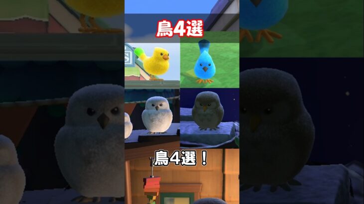 鳥４選 【あつ森】@ほのげ