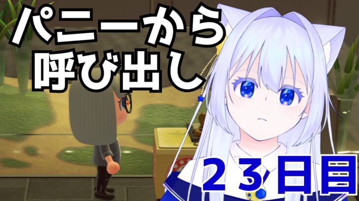 【あつ森】パニーの島に呼び出されました