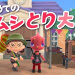 【あつ森】よりどり島始めてのムシ取り大会！ついでにお金も稼ぎたい💰【よりどり島】
