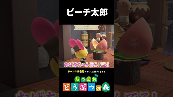 【あつ森】某ピーチ太郎風の別荘