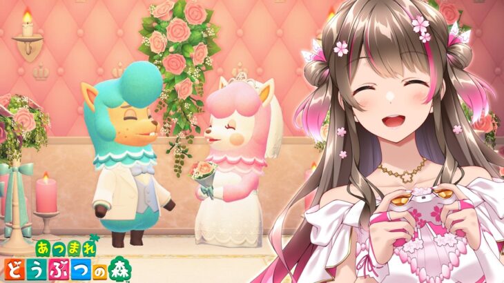 【あつ森】ジューンブライドのイベントきた！超かわいい家具を集めに行くよ【あつまれどうぶつの森】
